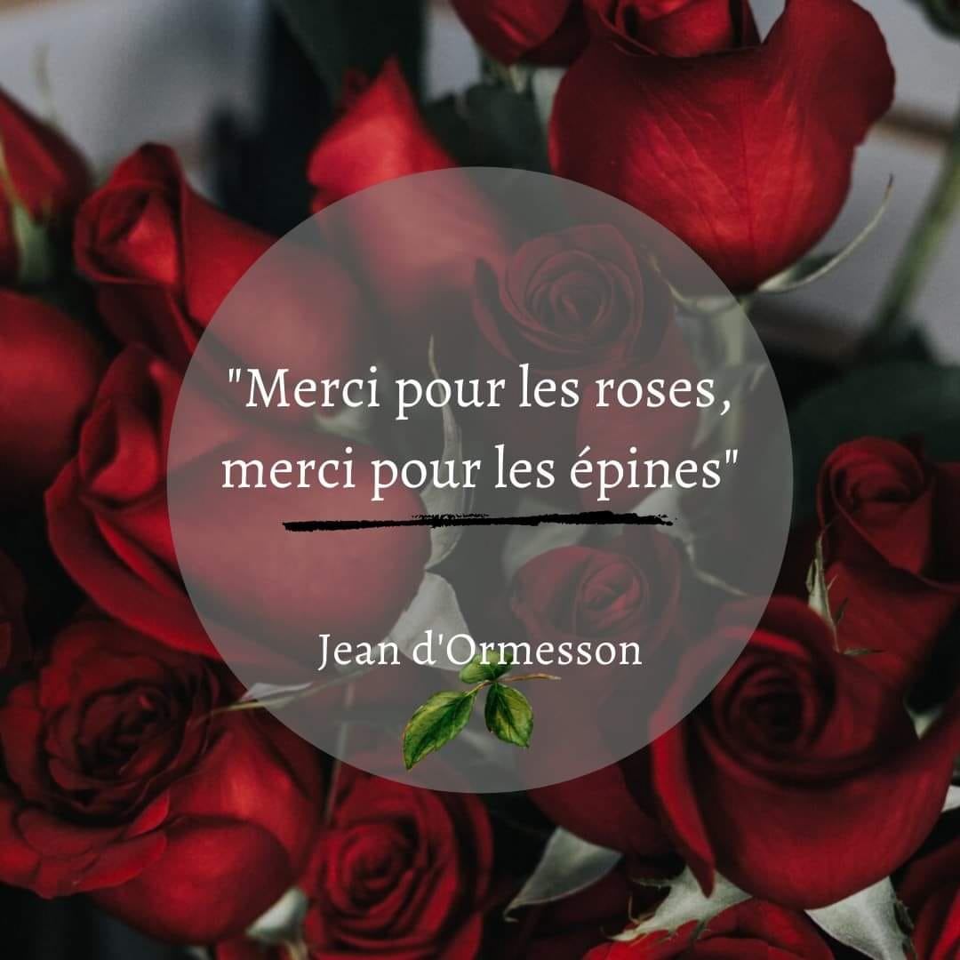 Jean Dormesson Merci Pour Les Roses