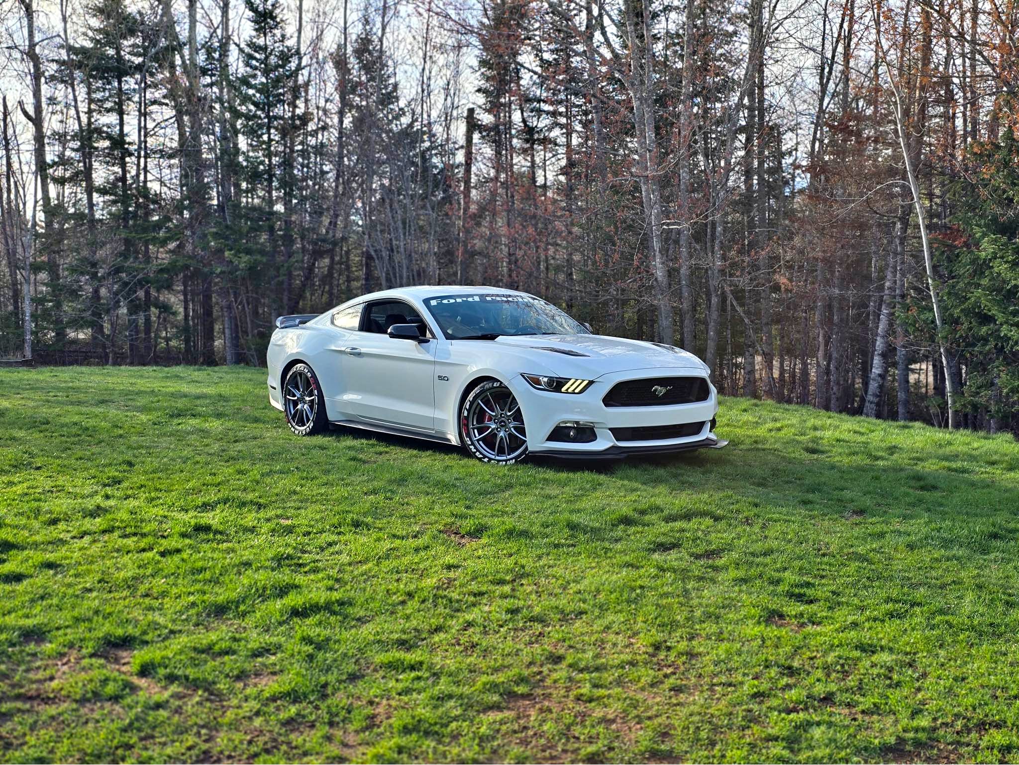 2015 Mustang GT Premium - Cars & Trucks - Moncton, New Brunswick ...