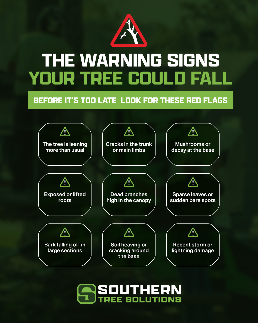 Southern Tree Solutions | Griffin GA