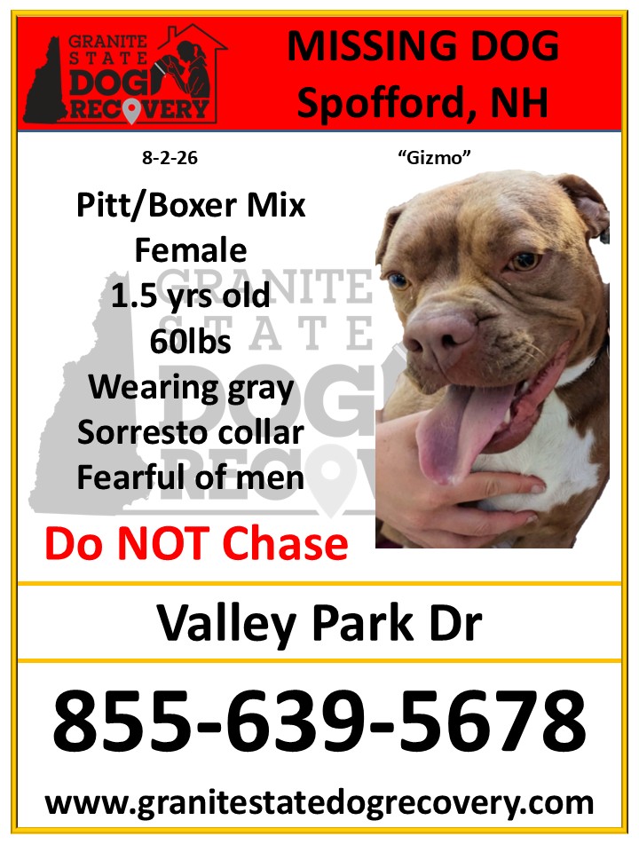 Granite - Missing 8-2-26: Valley Park Dr Spofford, NH. 