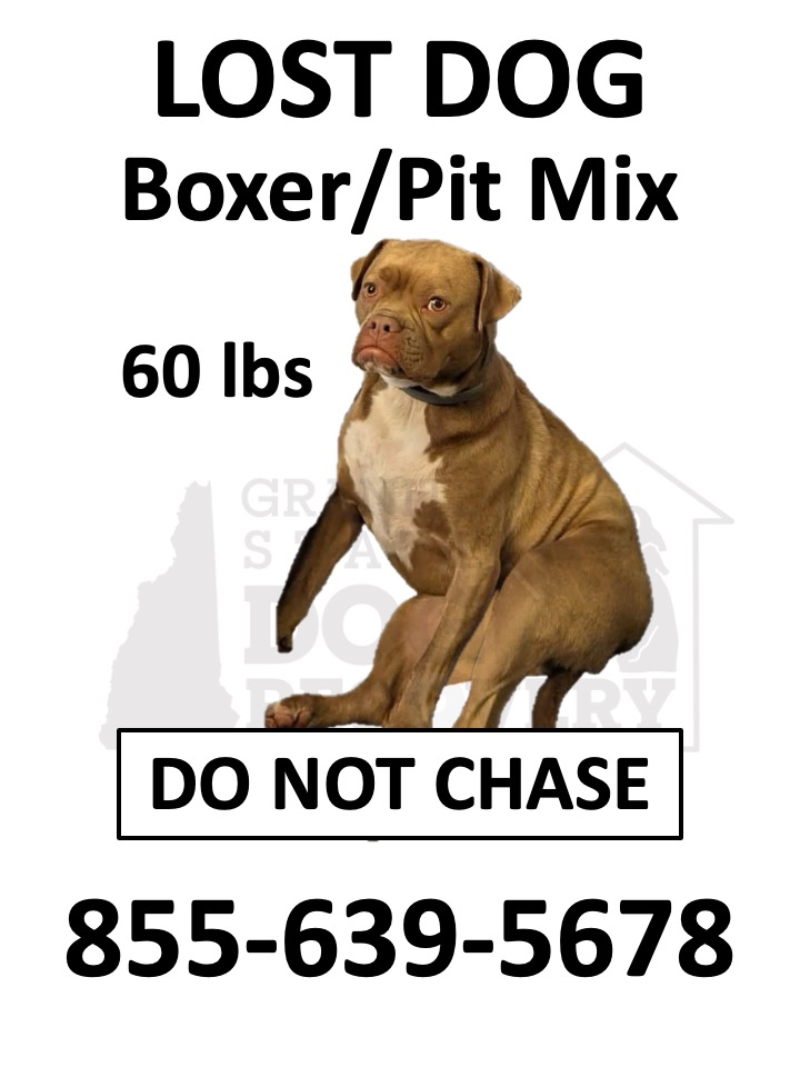 Granite - Missing 8-2-26: Valley Park Dr Spofford, NH. 