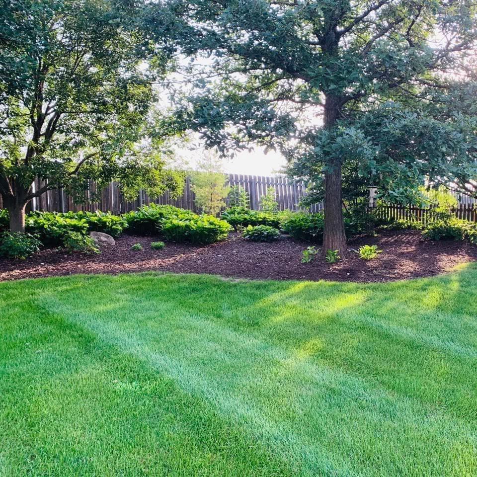 Boley Tree & Landscape Care, Inc. | Middleton WI