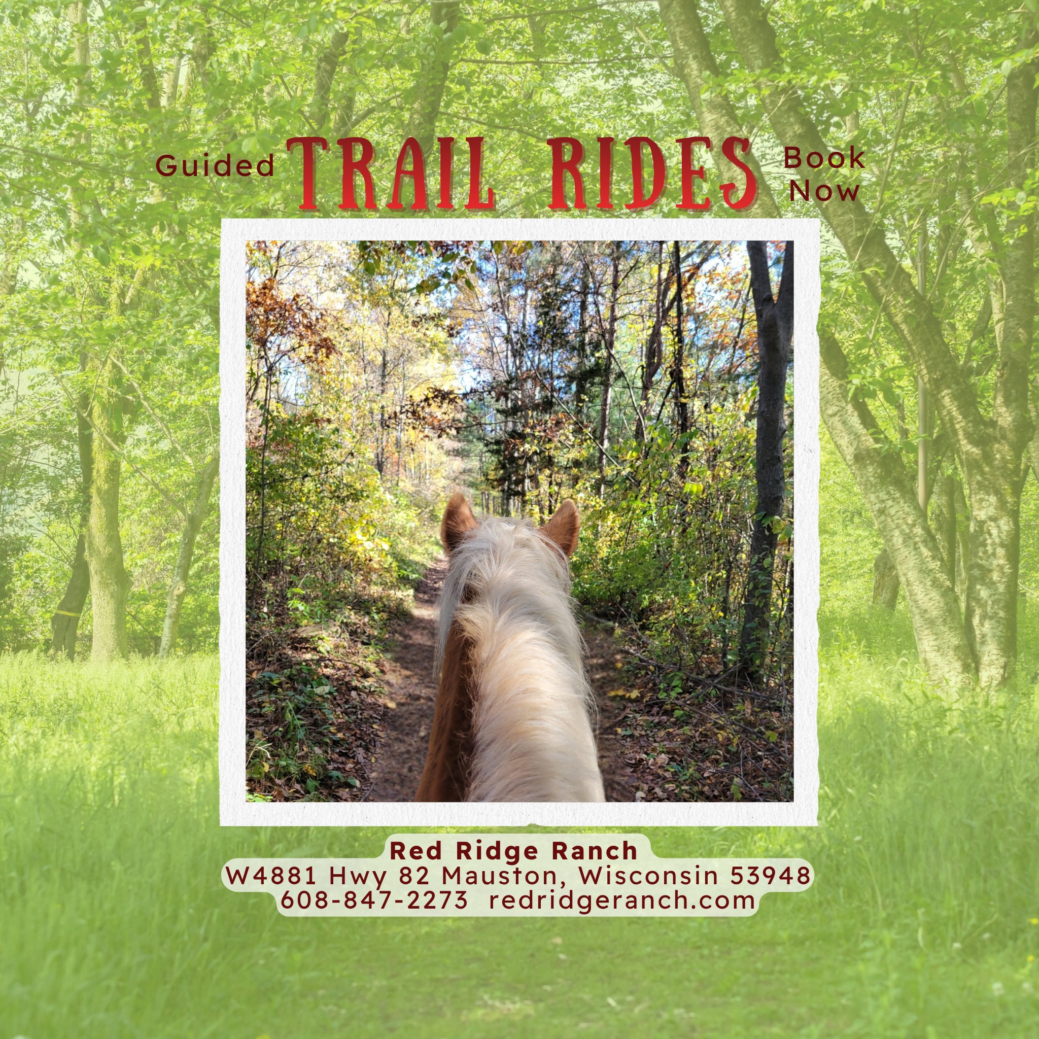 Red Ridge Ranch Riding Stable | Mauston WI