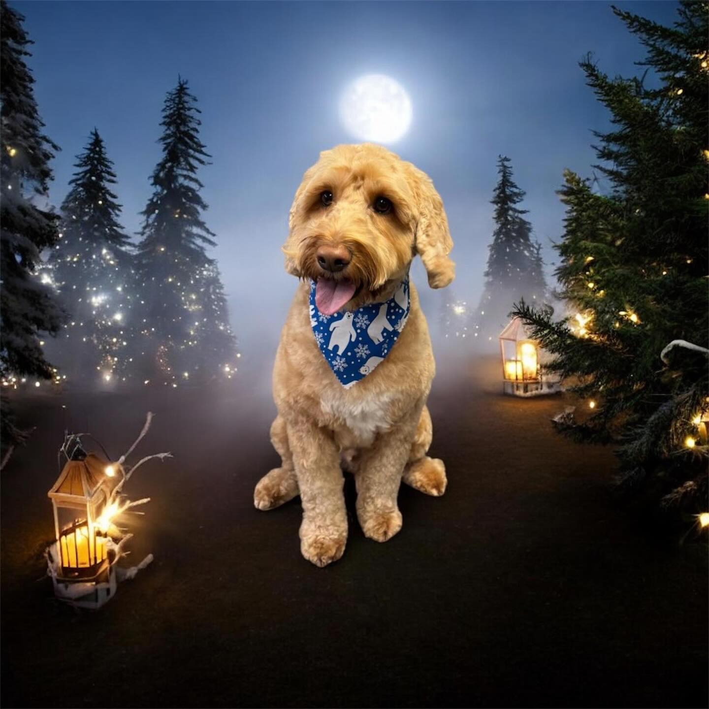 Scruffy Muttz | Herne