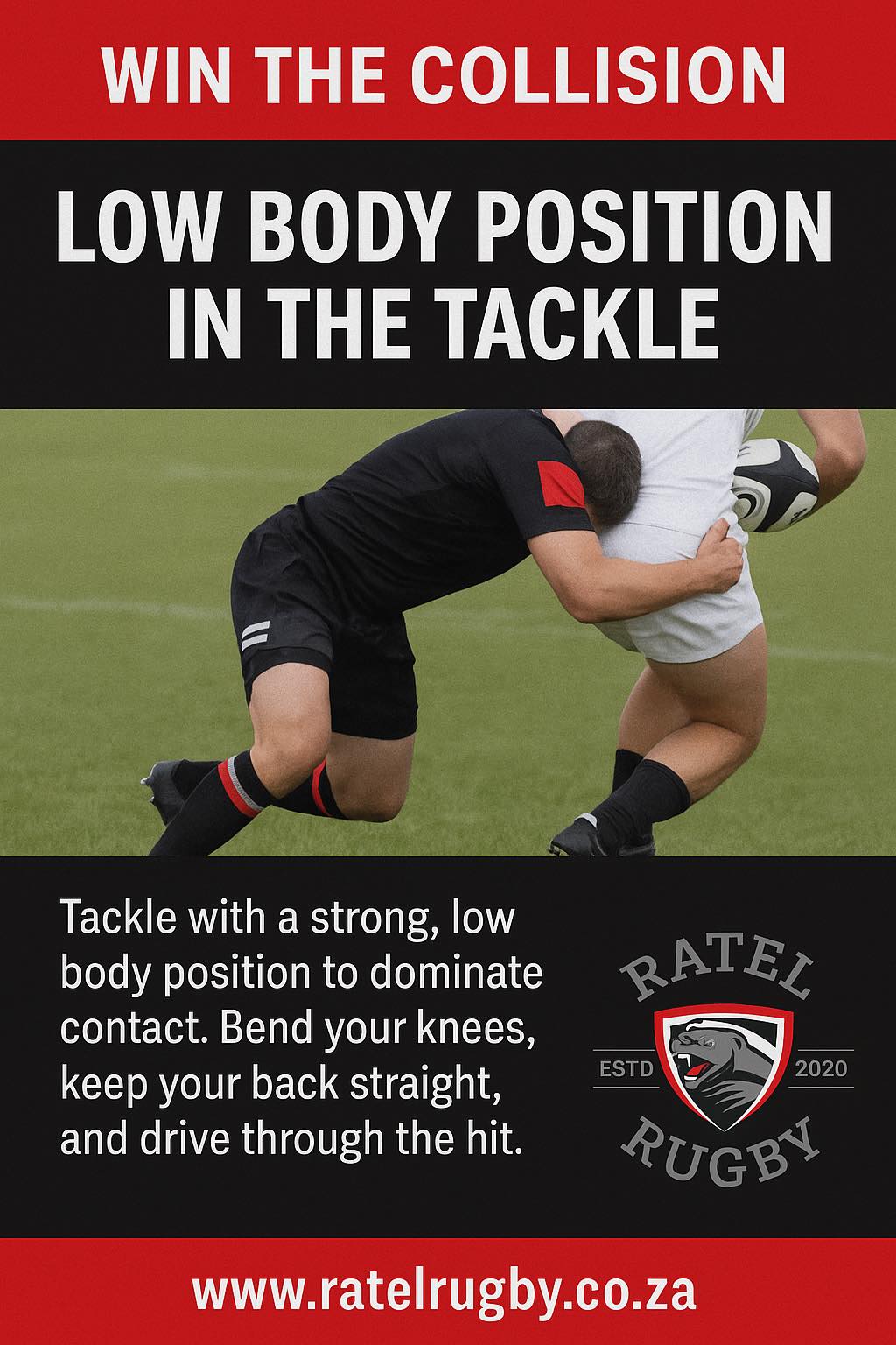 Ratel Rugby