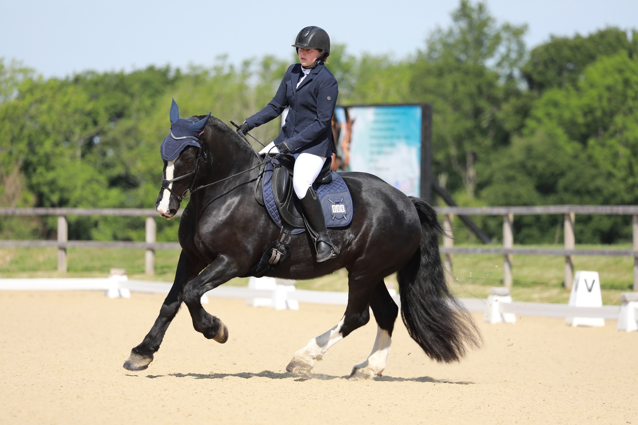 Felbridge - Photos from today's British Dressage show are now online to ...
