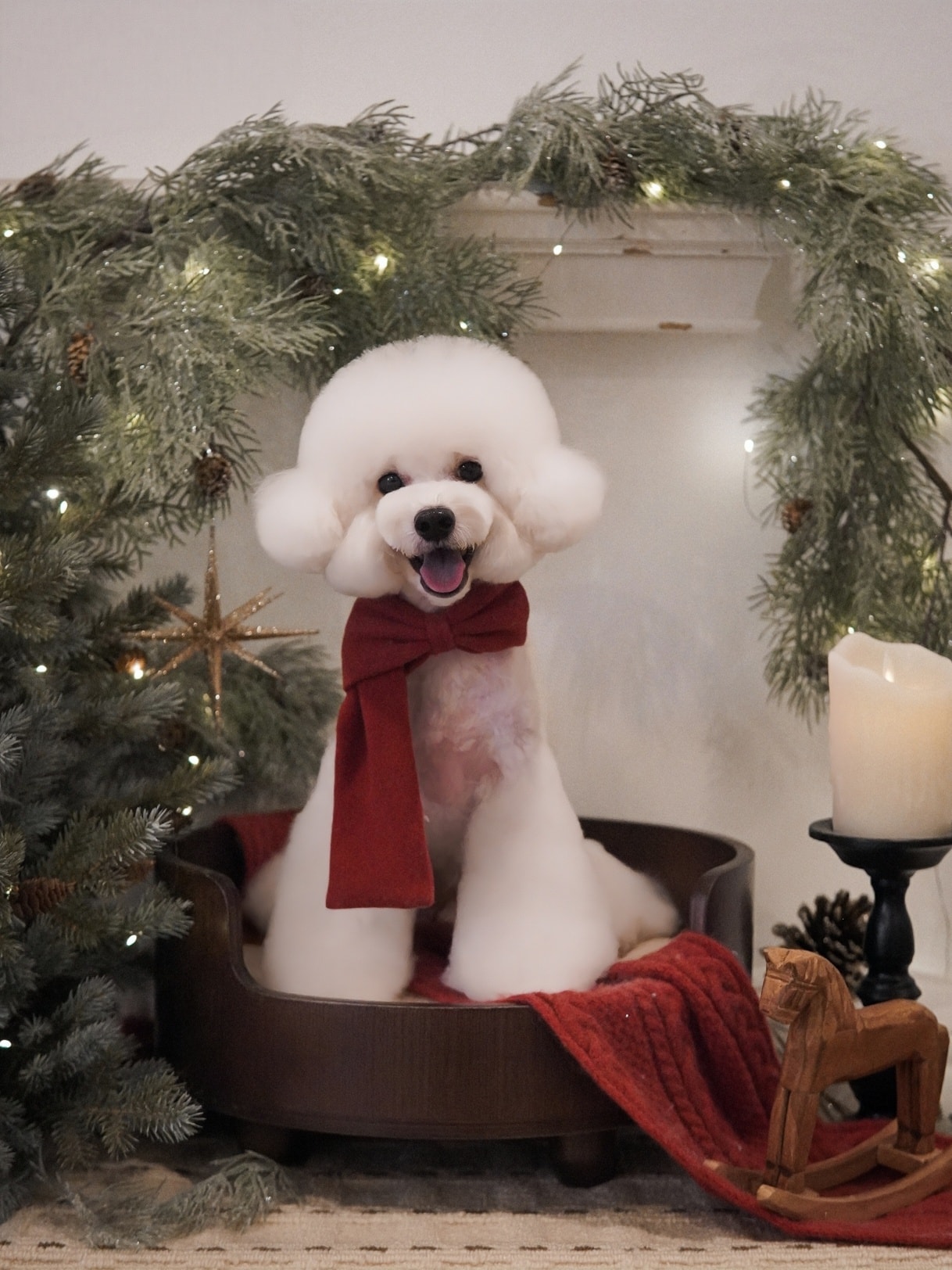 The Fox Butler Pet Lifestyle Store | Bayan Lepas