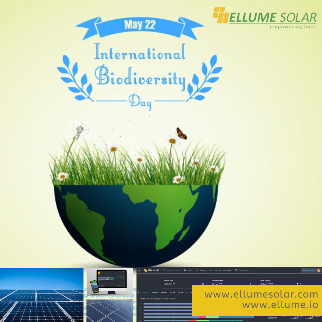 Ellume Solar - ''Our solutions are in nature” It's...