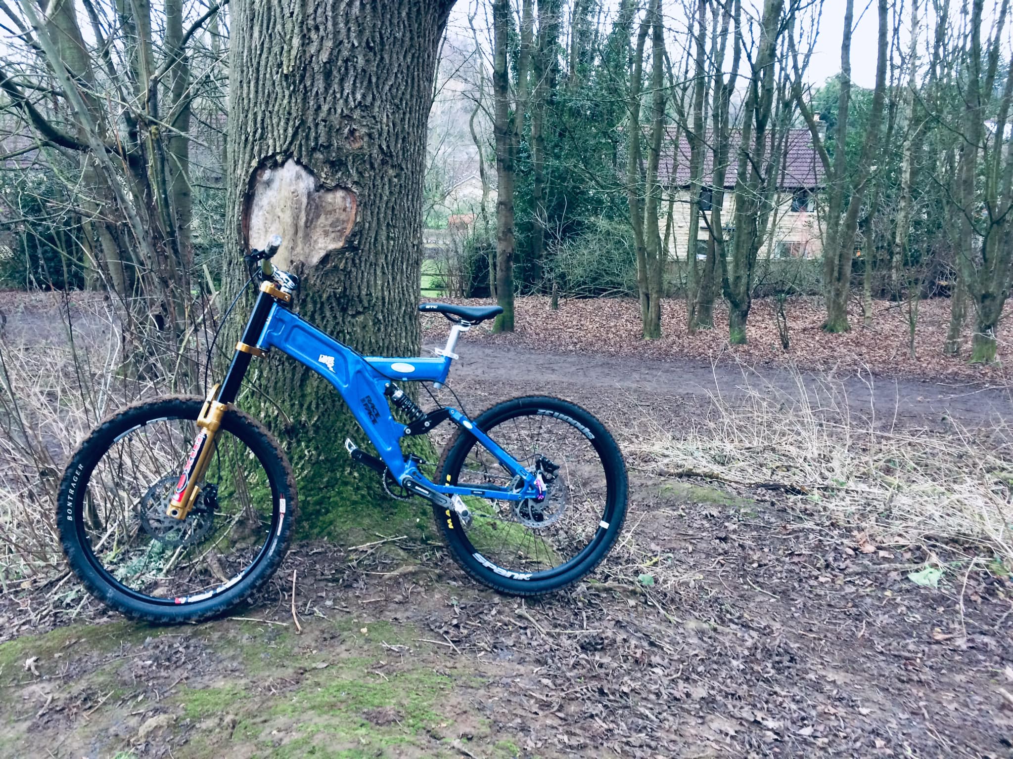 Nicolas Vouilloz 1996 race bike tribute build