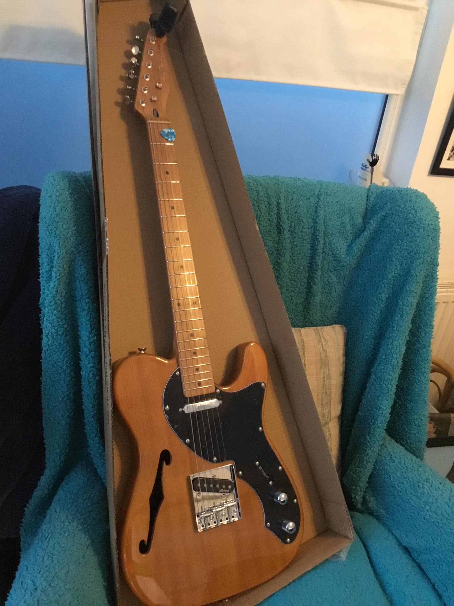 Unboxing my new Telebird guitar