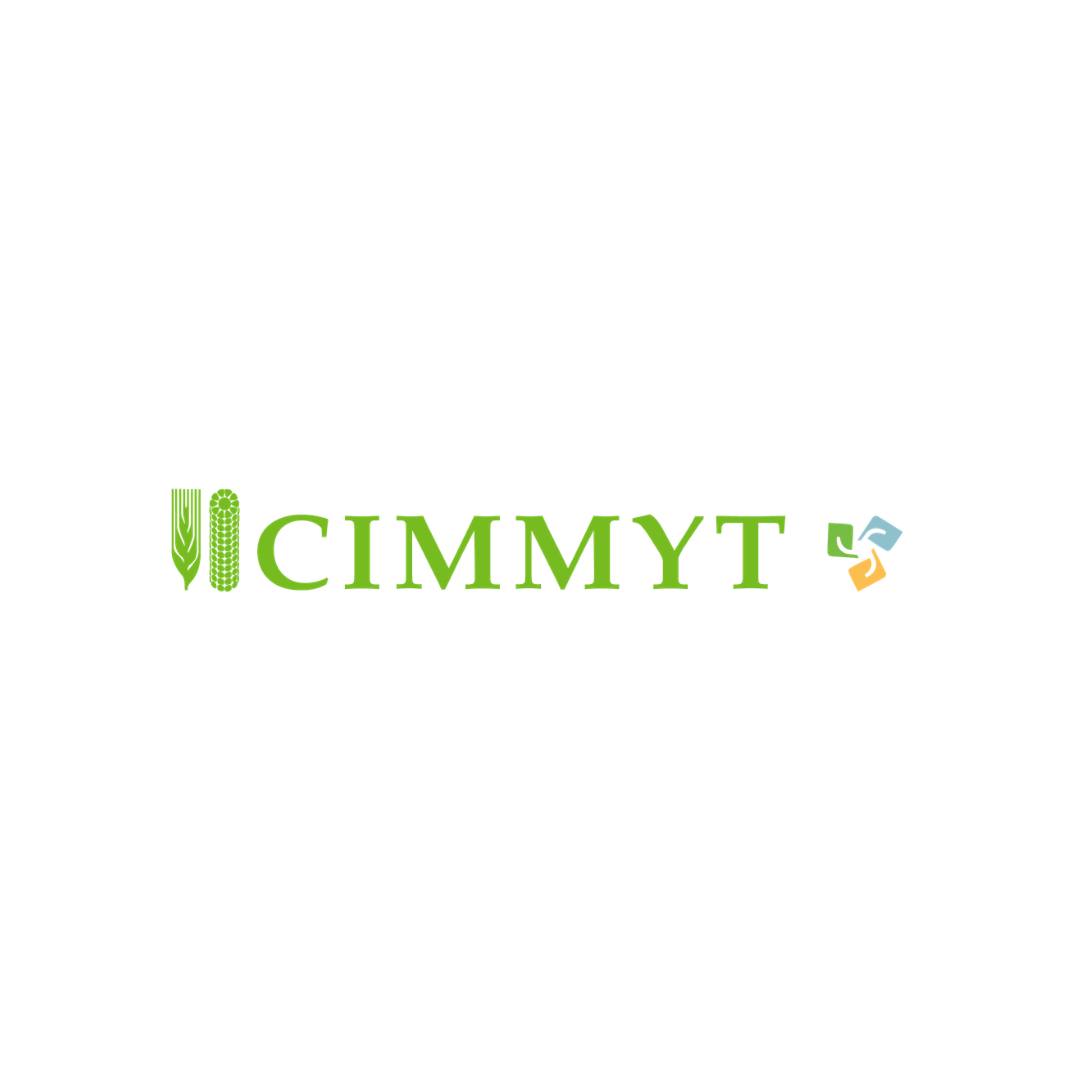 Can AI help breeders make better decisions, faster? 🌱 Join the CIMMYT ...