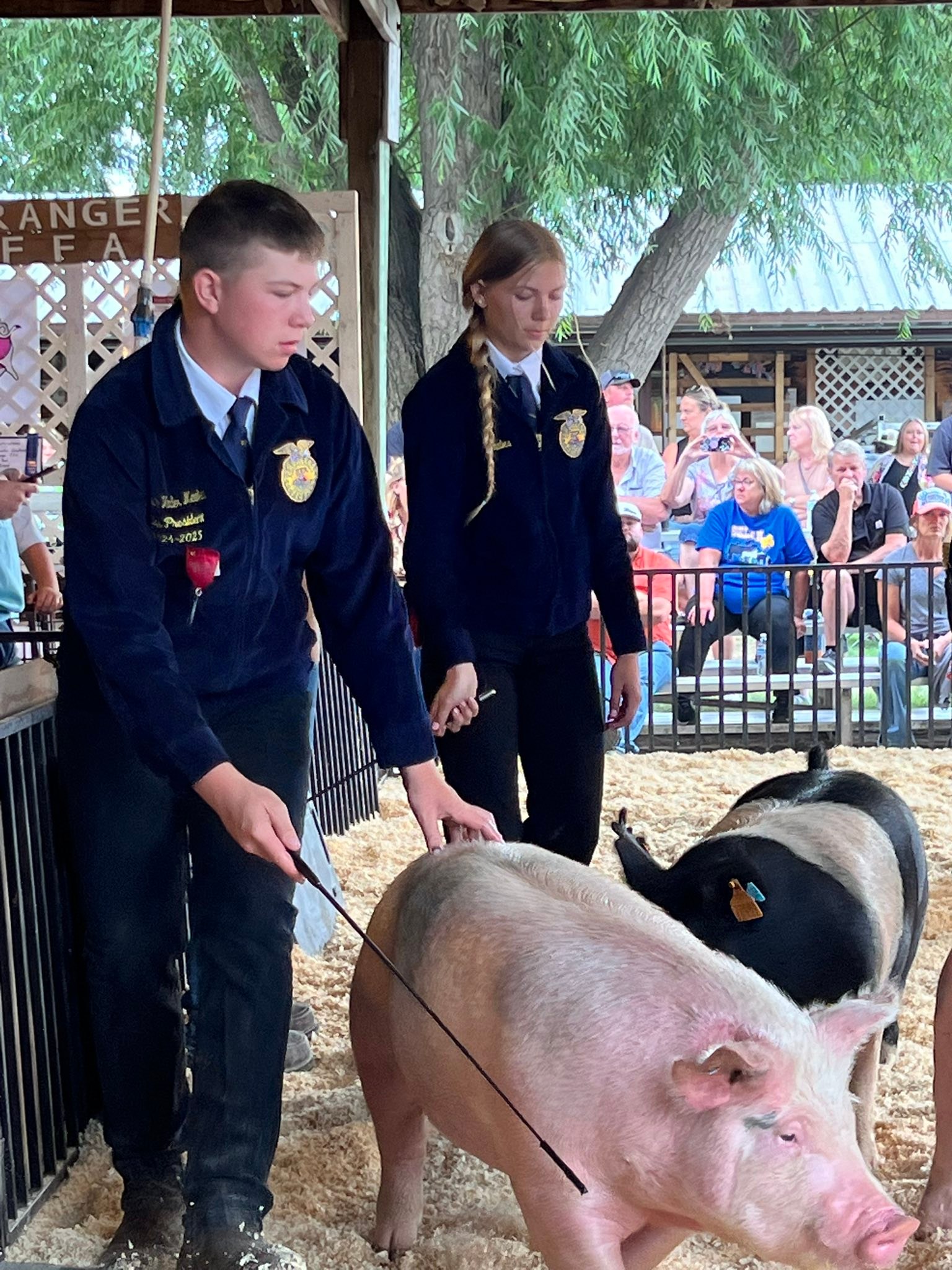 Yakima Valley Fair & Rodeo | Grandview WA