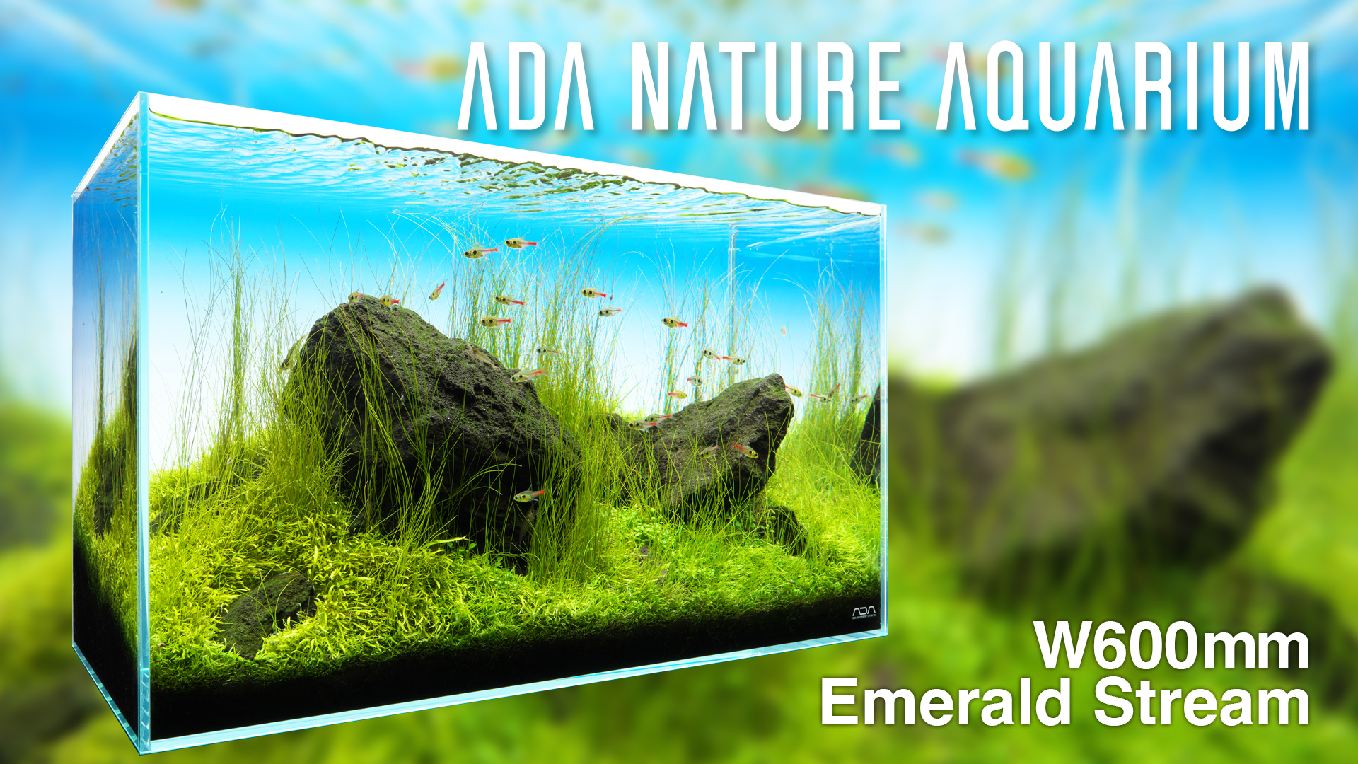 ADA Nature Aquarium - Aqua Design Amano Co., Ltd (@AquaDesignAmano