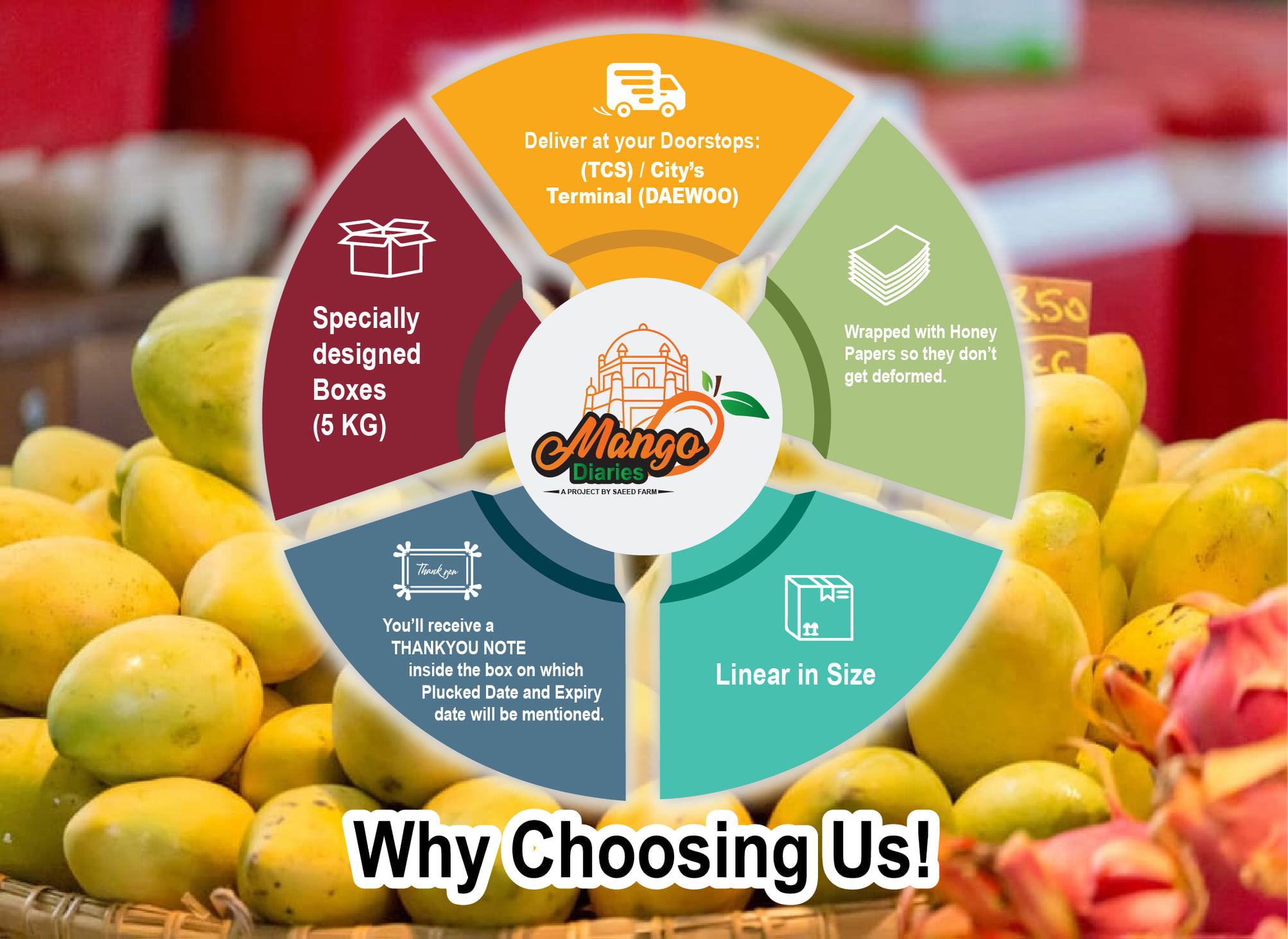 - We will be delivering boxes... - Saeed Farms Multan