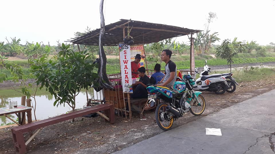 Anggrek - Anggrek added a new photo. | Facebook