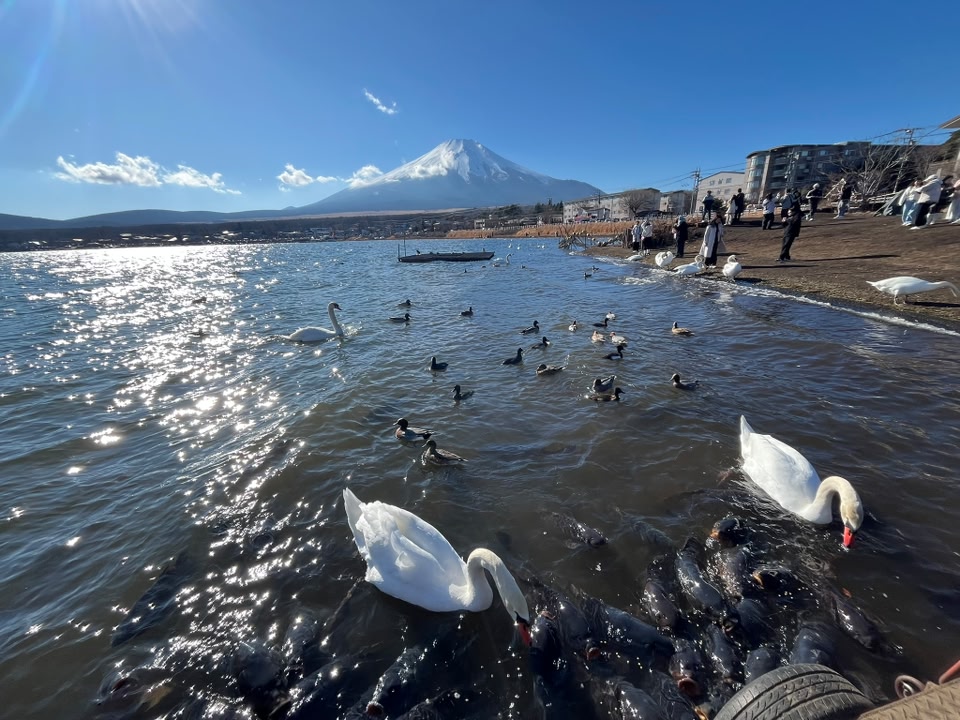 1月5日今現在の富士山
