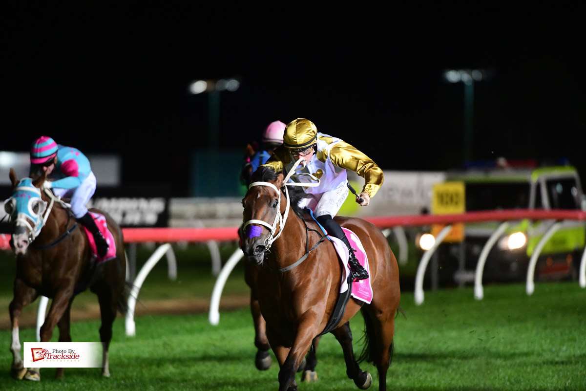 Currie Racing | Toowoomba QLD
