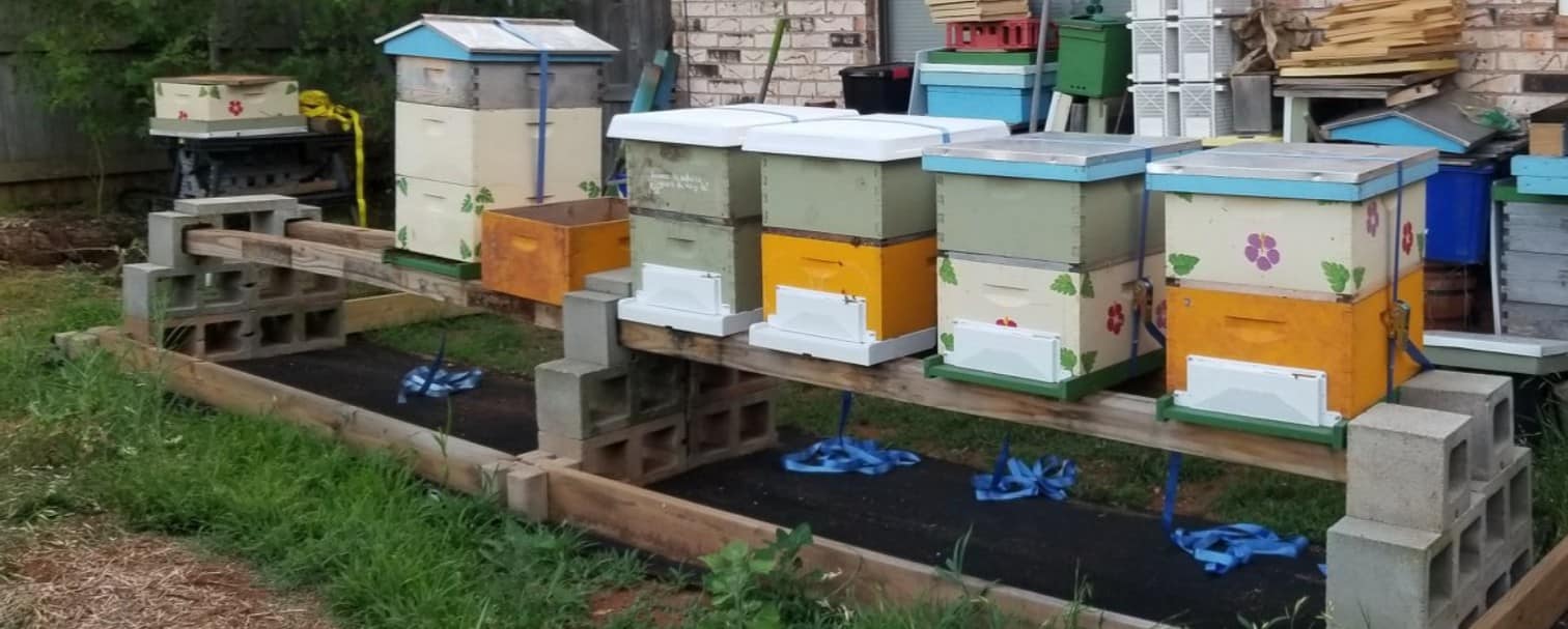 Buz•zen Bee Honey Ranch