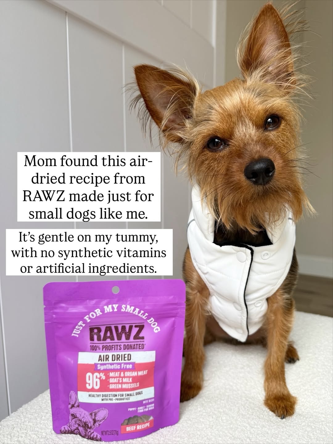 RAWZ Natural Pet Food | York ME