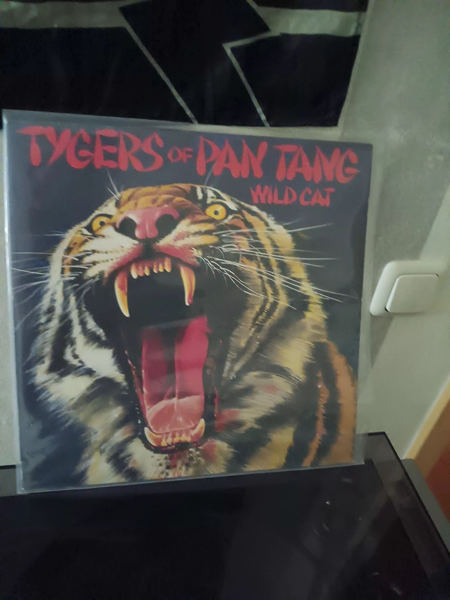 TYGERS OF PAN TANG