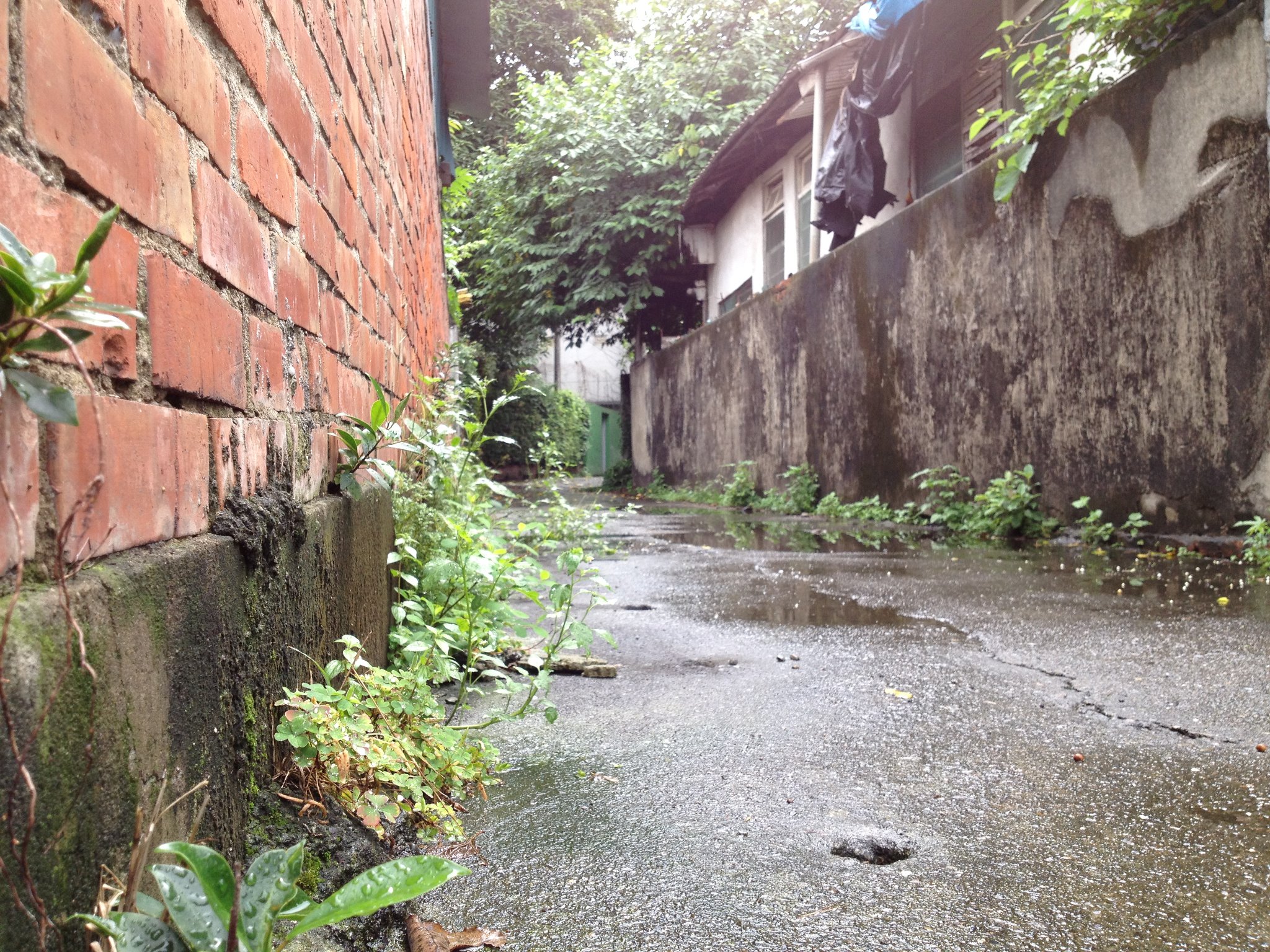 小屋見大屋－跟著嘉義市的老屋散步去~~