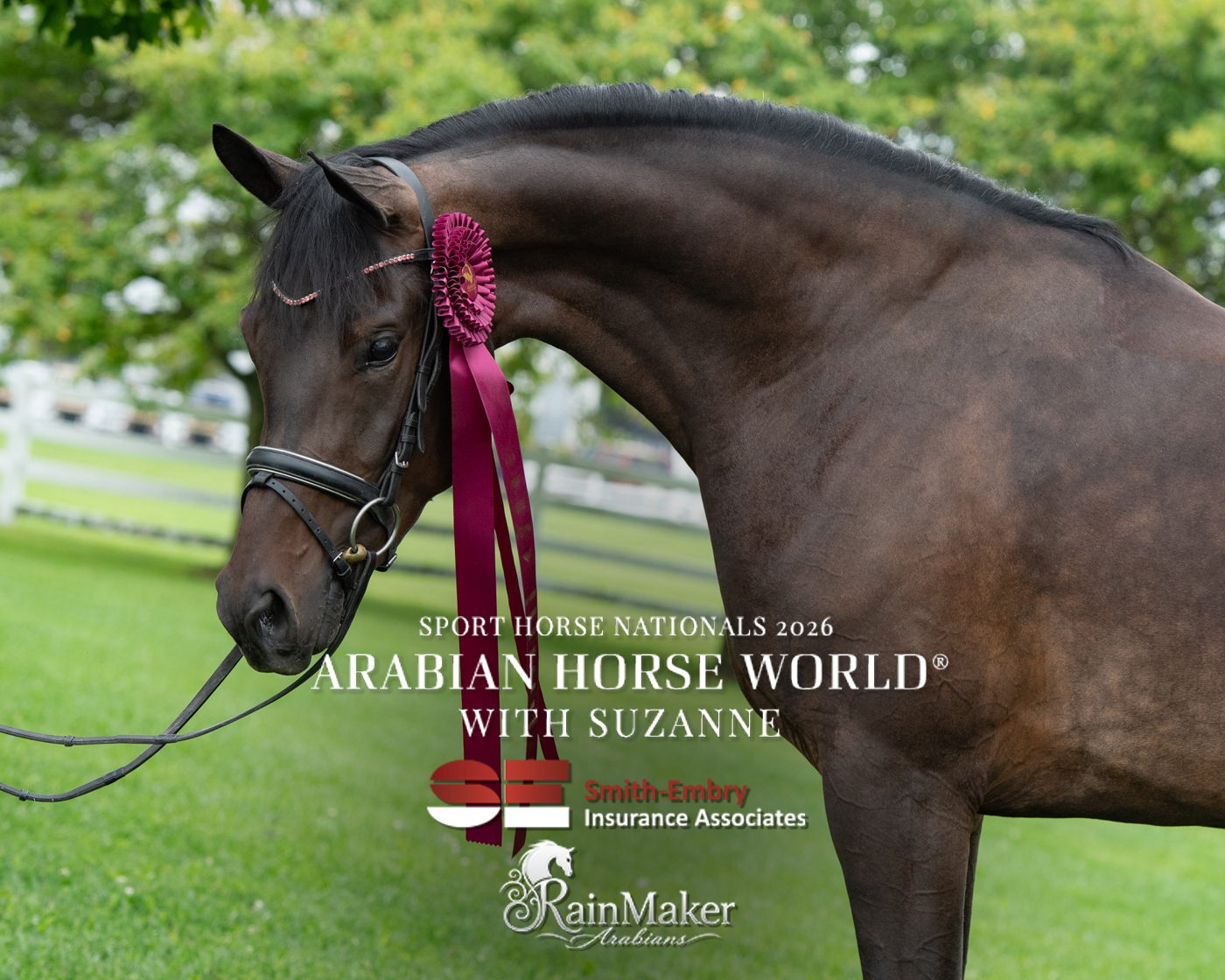 Arabian Horse World added photos to the album: 2026 Sport Horse