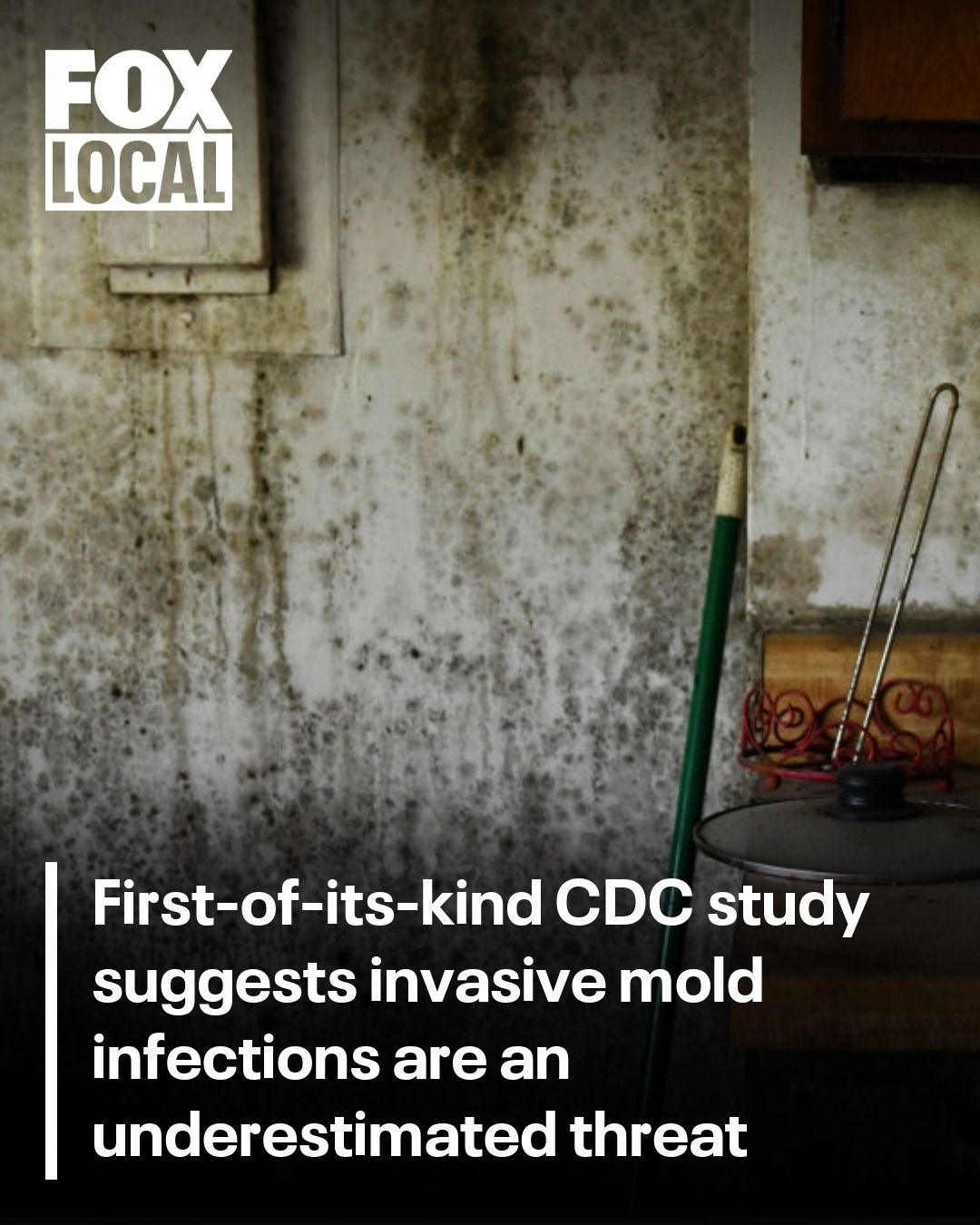 glutathione mold toxicity test with Exposure and Chronic Illness: The Crucial Role of Lab Testing for Early Detection Mold and Biotoxin Recovery Kit Detox From Mold with Glutathione