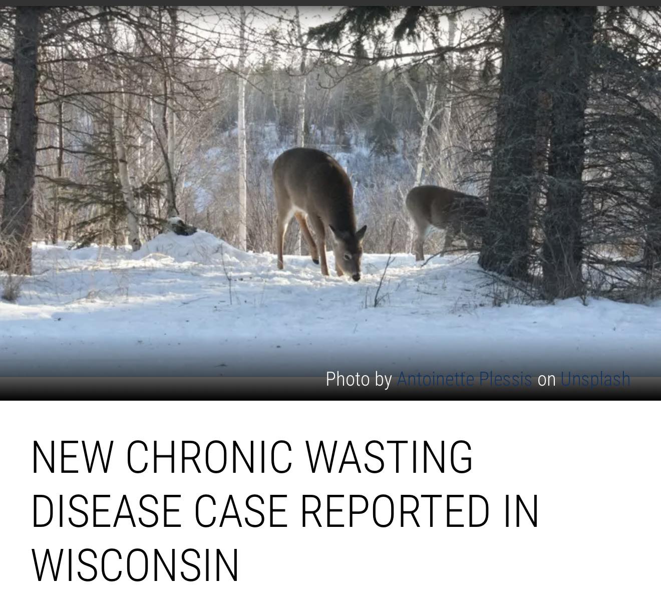 B105 - ⚠️New CWD Case Confirmed In Wisconsin 🦌The DNR says the county ...