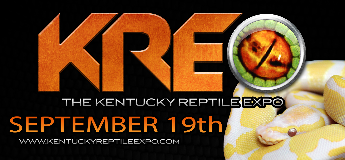 This week's mystery animal... - Indiana Reptile Breeders Expo | Facebook