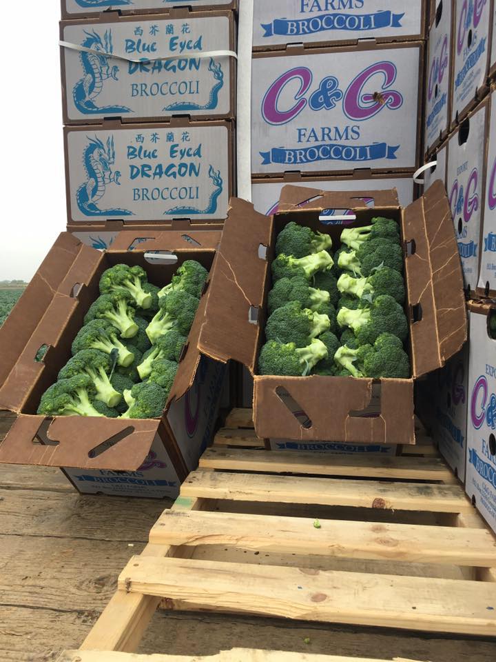 George Amaral Ranches | Gonzales CA
