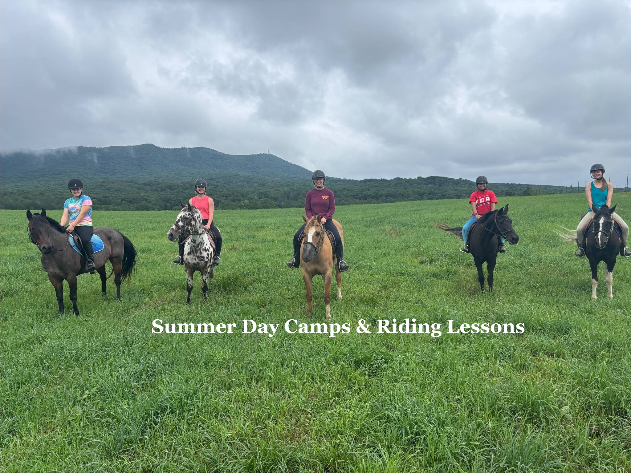 Keezlenutten Farm, LLC | Keezletown VA