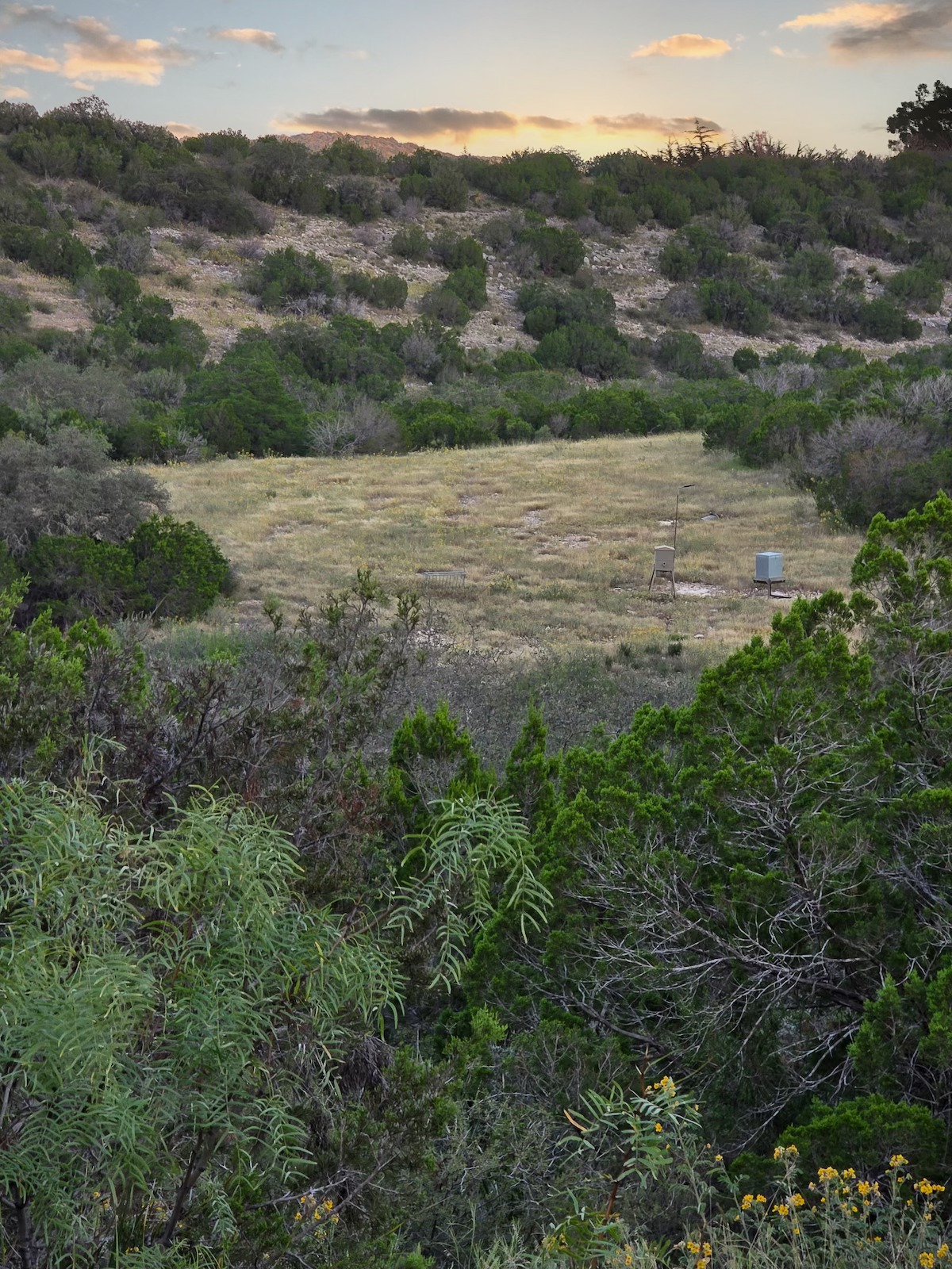 Simpson Ranches & Land LLC... - Simpson Ranches & Land LLC