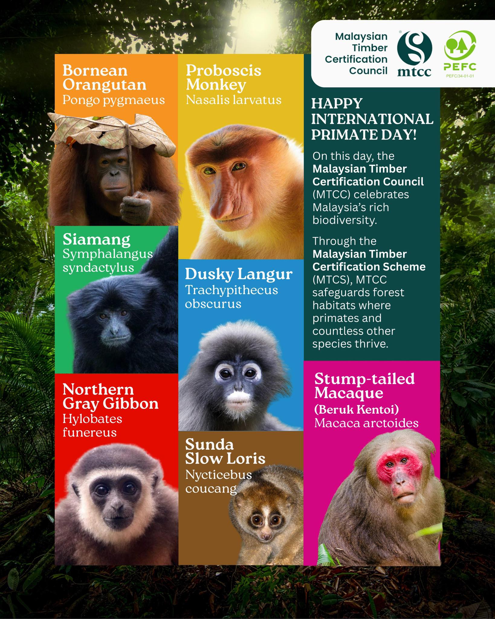 Malaysian Timber... - Malaysian Timber Certification Council