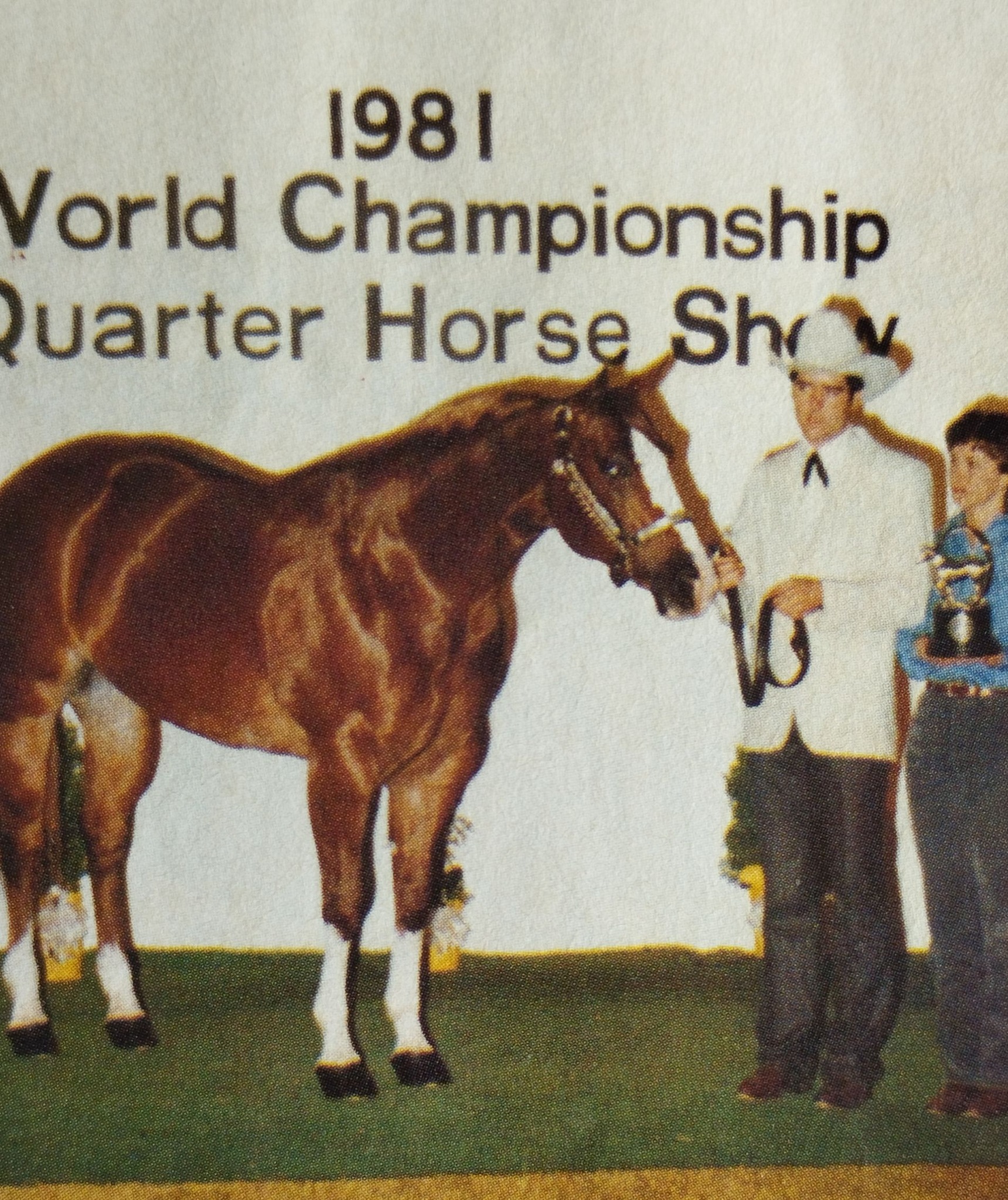 RDVideo - 1981 World Champion Quarter Horse Show Maid Of Luck, owned by ...