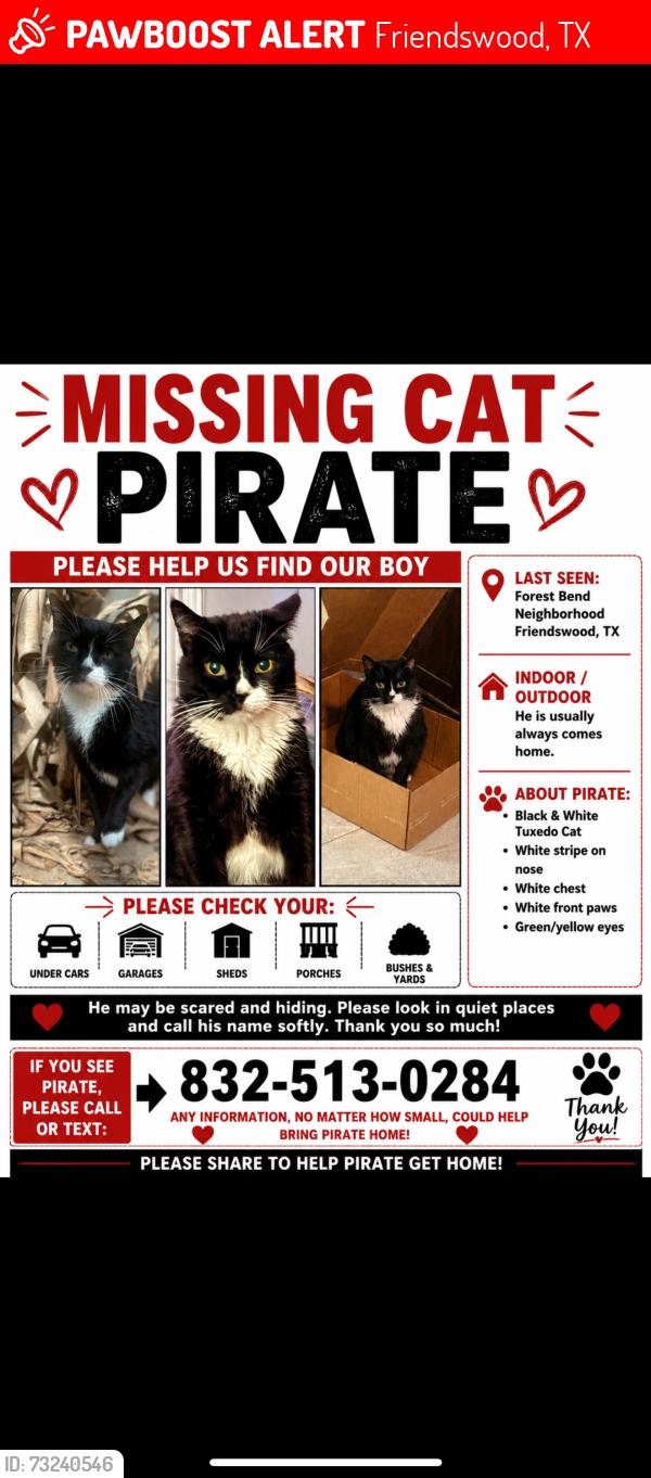 Houston, - 🚨 Pirate Cat was LOST August 6, 2026 in Friendswood