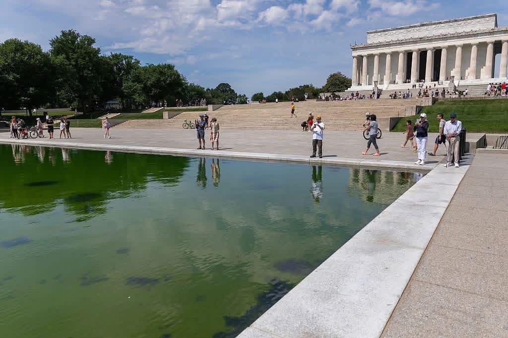 These are the photos of the reflection pool one week after