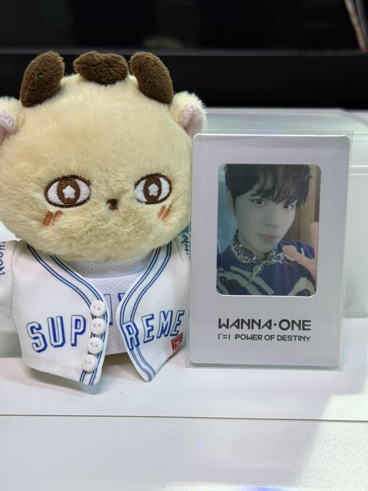 Wanna One 公式 まとめ売り ラスコン グッズ Park JiHoon Wanna One