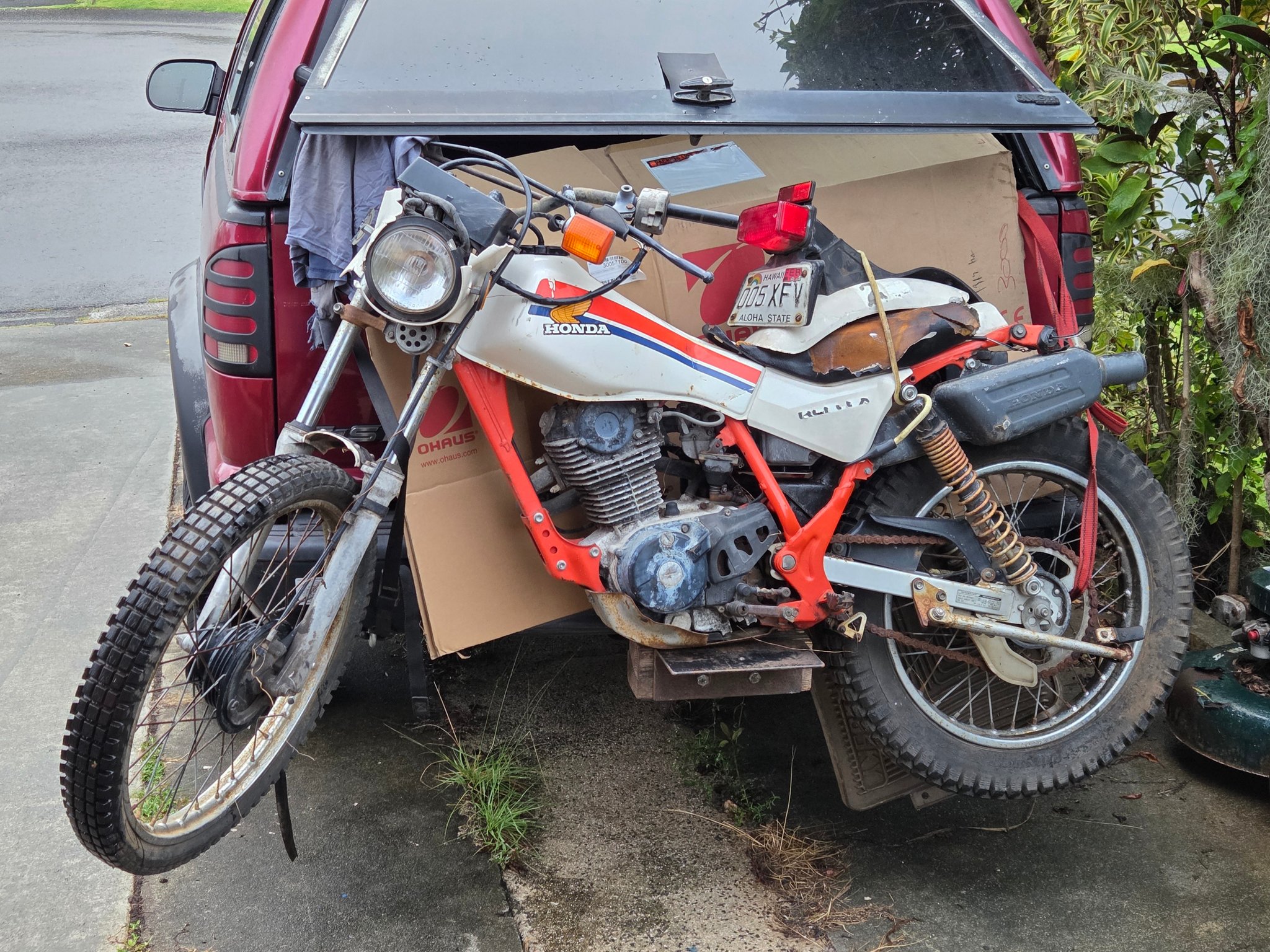 Restoring a 1987 Honda TLR 200 with multiple issues?
