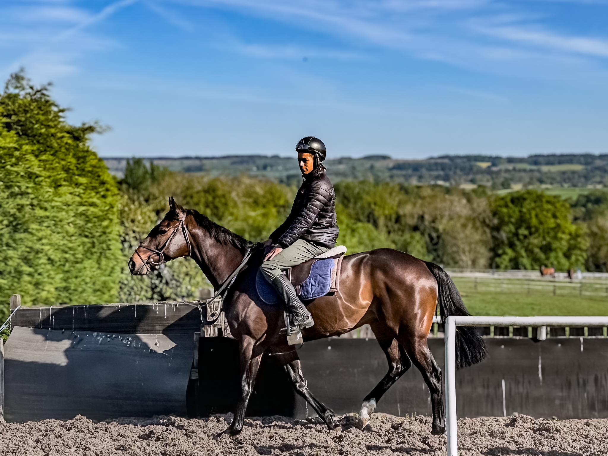 Ann Duffield Racing | Leyburn