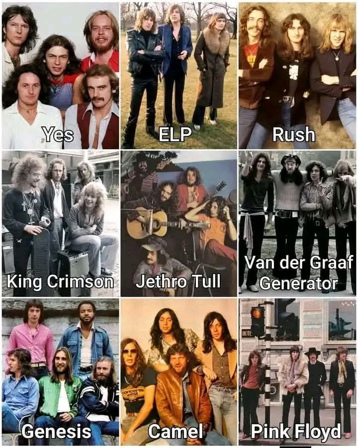 Essential prog rock albums including Pink Floyd and Genesis