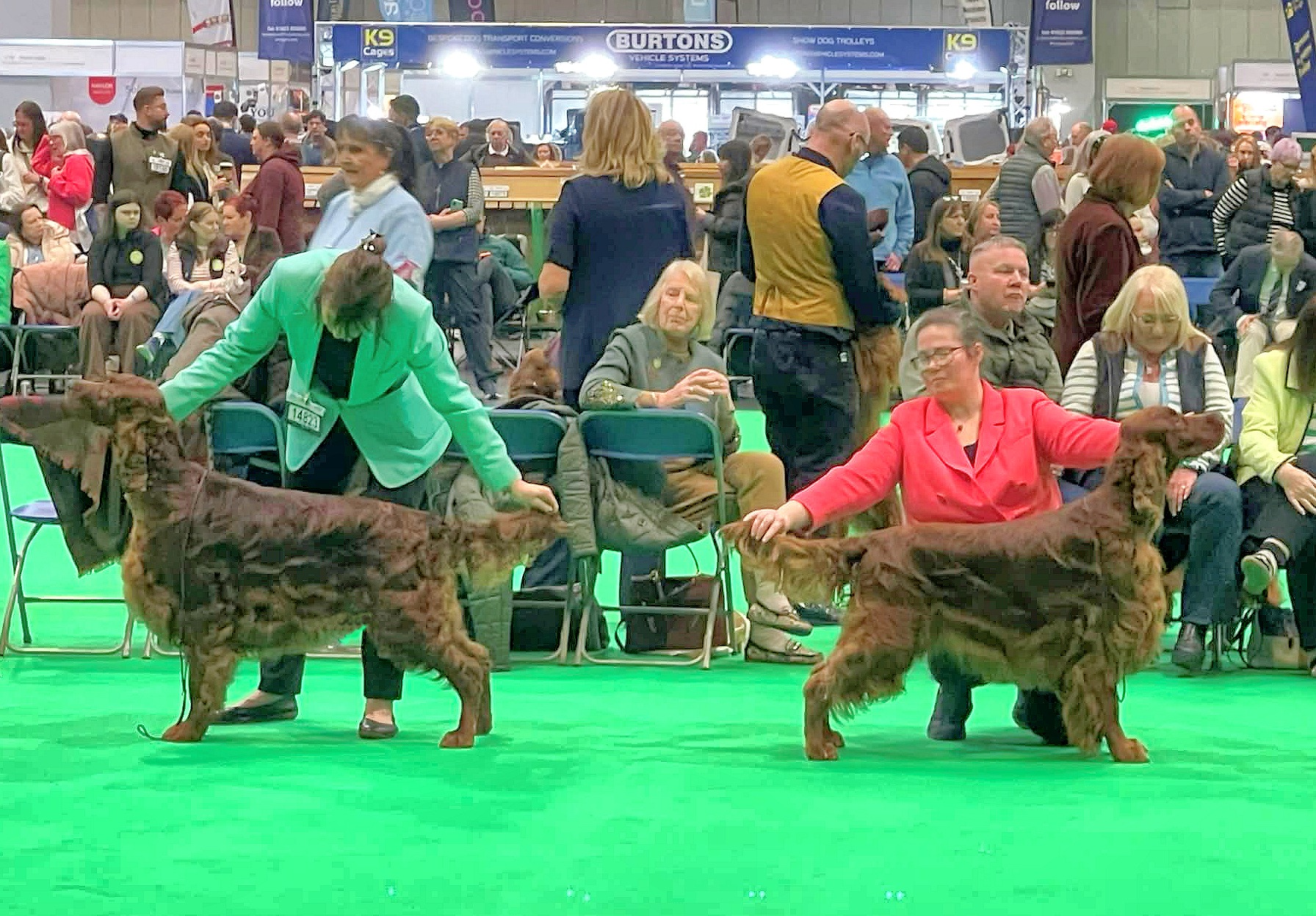 Crufts 2026 For Bardonhill It was F-A-B-U-L-O-U-S Trixie 