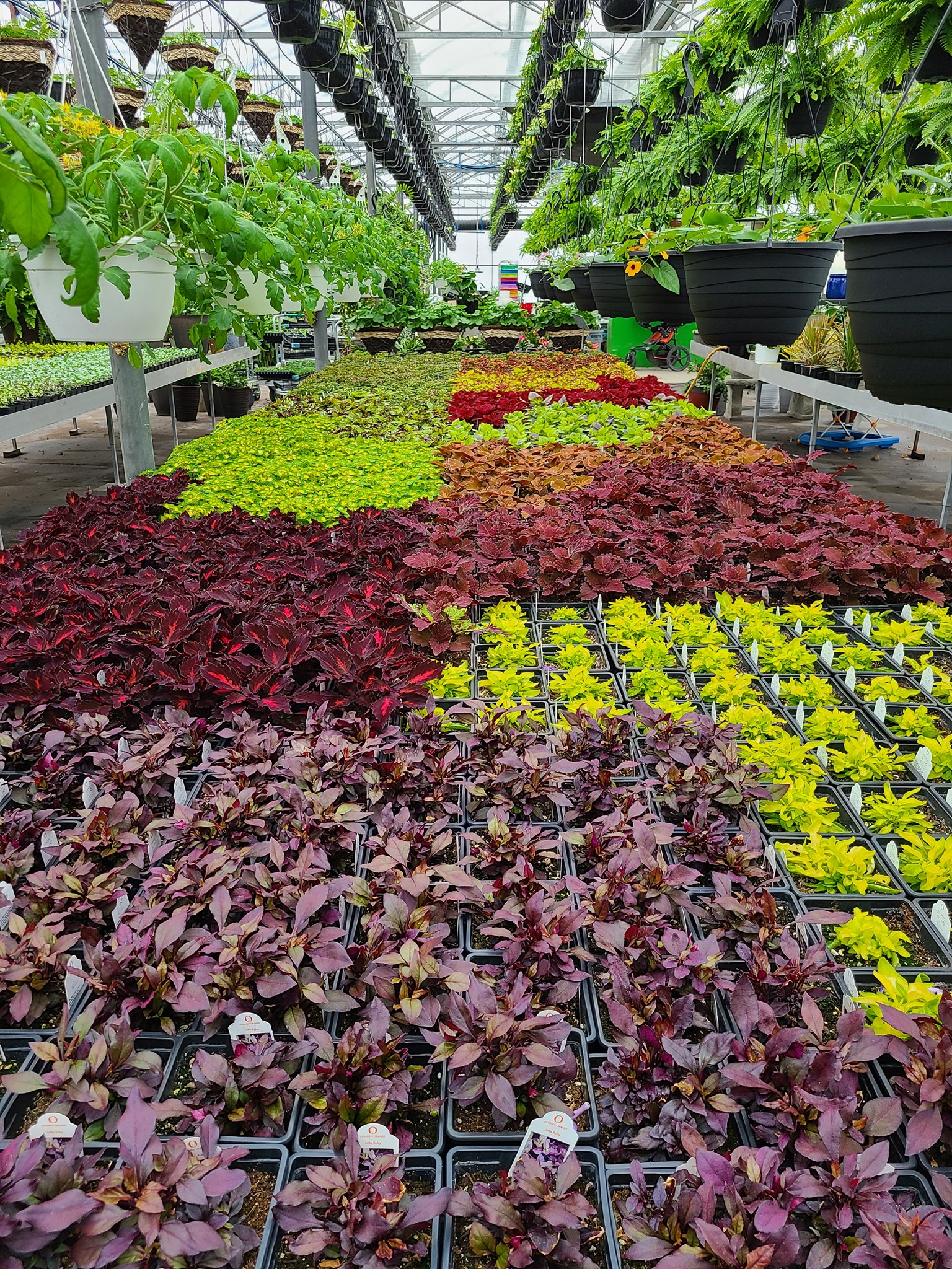 Sterling Run Greenhouse