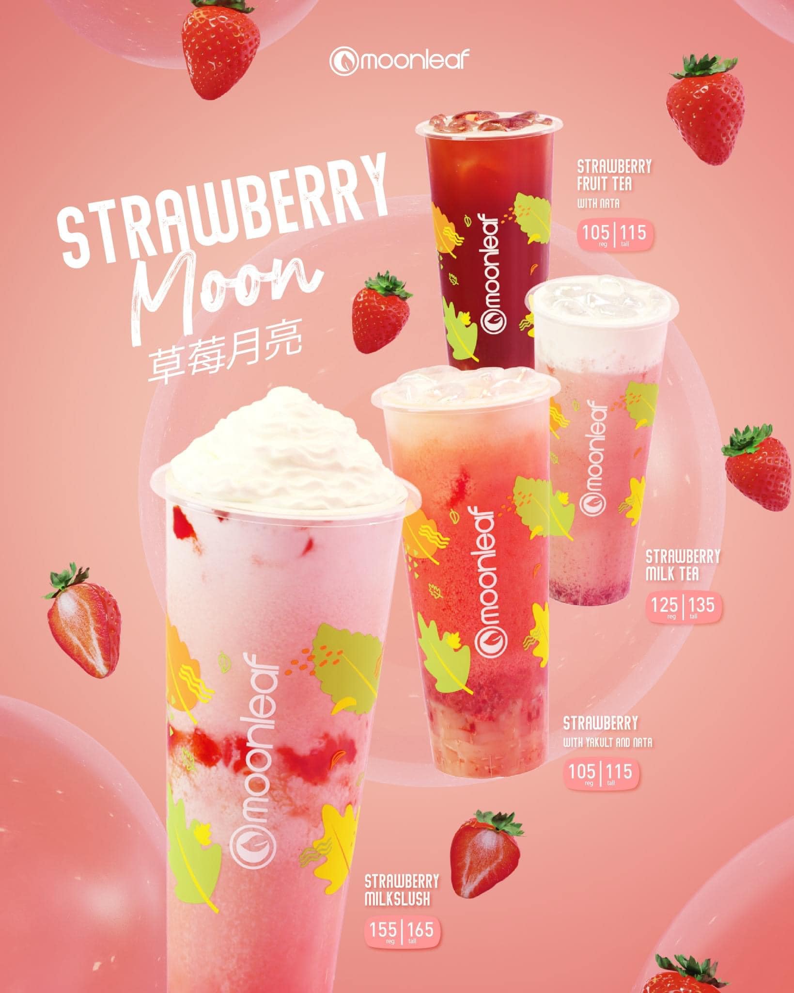 Moonleaf Tea Shop - Mindanao Ave. | Quezon City