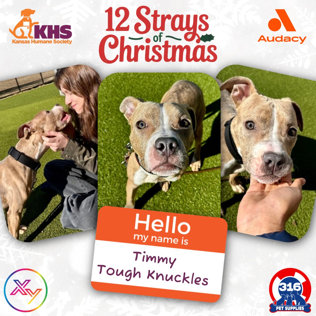 KNSS Radio - 🎄 𝟭𝟮 𝗦𝘁𝗿𝗮𝘆𝘀 𝗼𝗳 𝗖𝗵𝗿𝗶𝘀𝘁𝗺𝗮𝘀 - 𝗗𝗮𝘆 𝗢𝗻𝗲 🐾 Meet... | Facebook