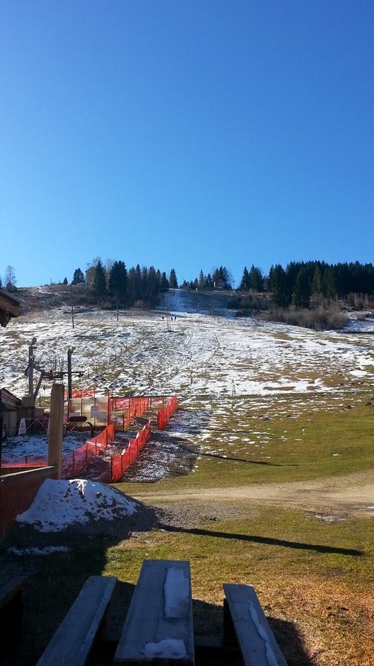 Boge rugovë
