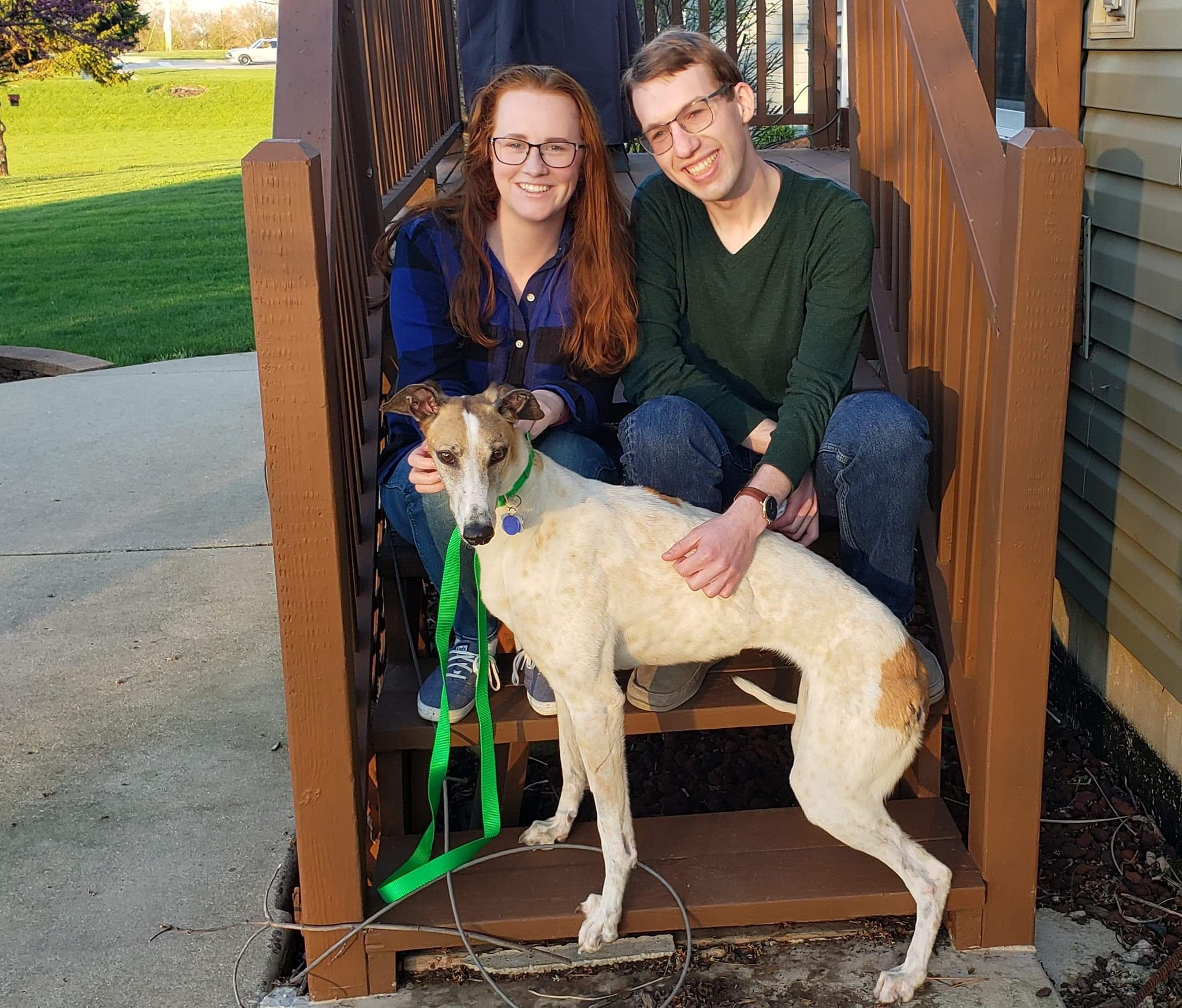 Congratulations to Ruffian & her new... - 4 Greyhound Racers