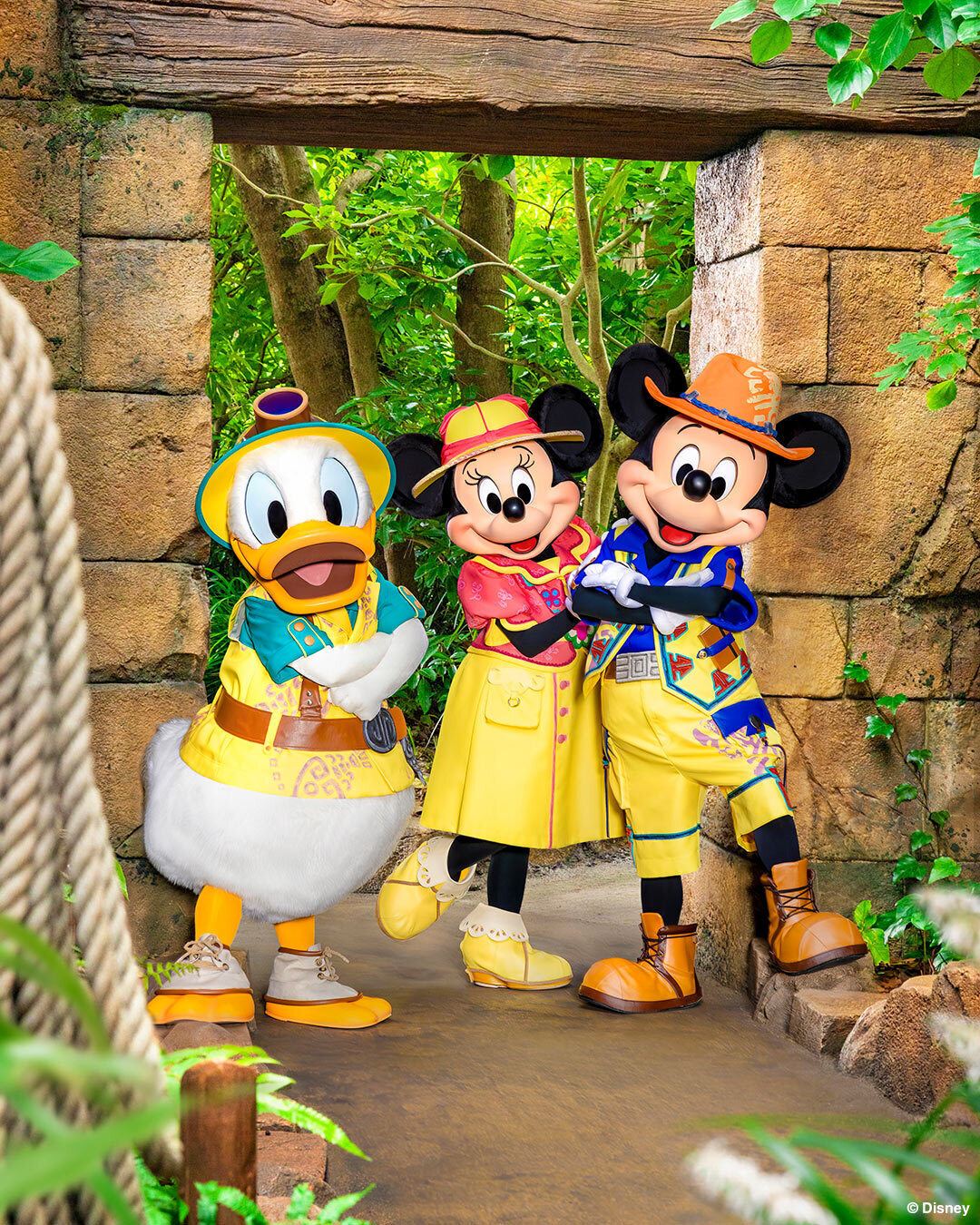 東京ディズニーリゾート - ／ #ディズニーパルパルーザ #ドナルドのク