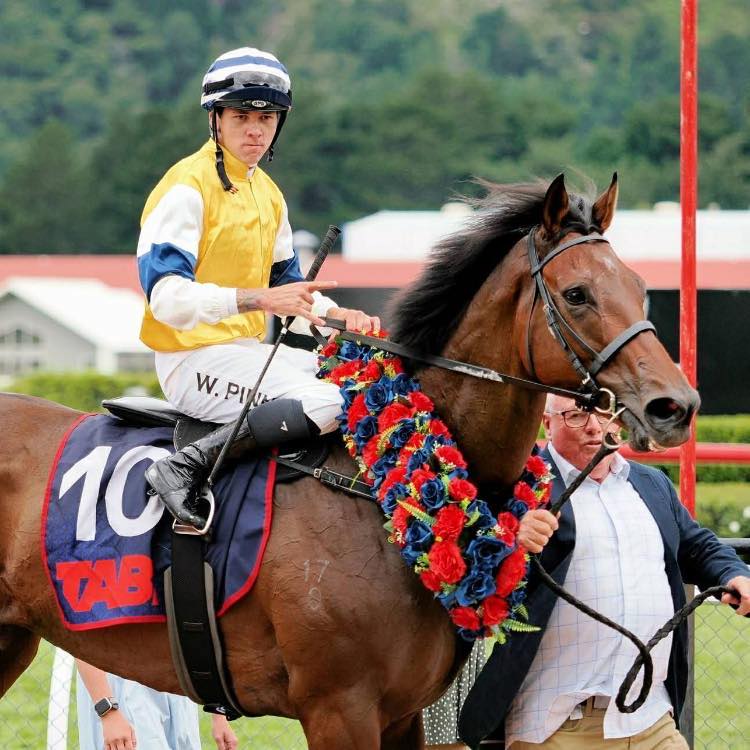 ☄️🤞🏻 LEGENDS DAY AT TE RAPA 🤞🏻💥... - Greene Racing limited | Facebook