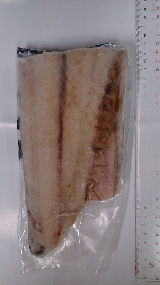 大阪漁連 本日 大阪府阪南市尾崎漁港で水揚げされた サワラ です 今が旬 刺身 キズシ みそ漬けなどがオススメの食 Facebook
