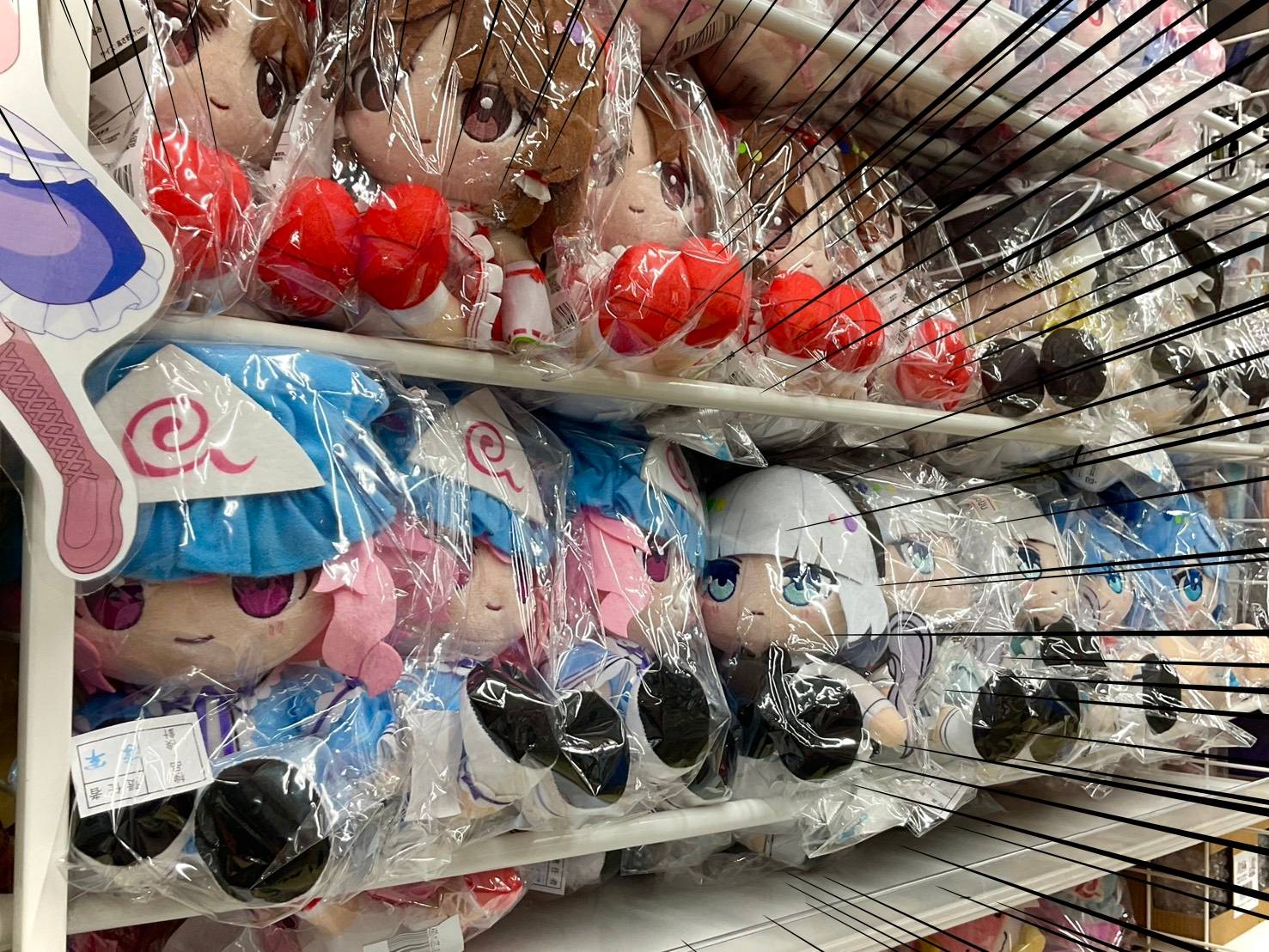 博麗 ちょこぷにぬいぐるみ STY ちょこぷに おおきな40cmぬいぐるみ